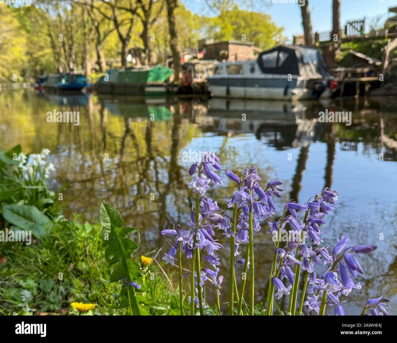 Wetter in Großbritannien: Sonniger Ostersonntag auf dem Leeds und dem Liverpool Kanal bei Chorley in Lancashire mit Blühblumen im Vordergrund Stockfoto