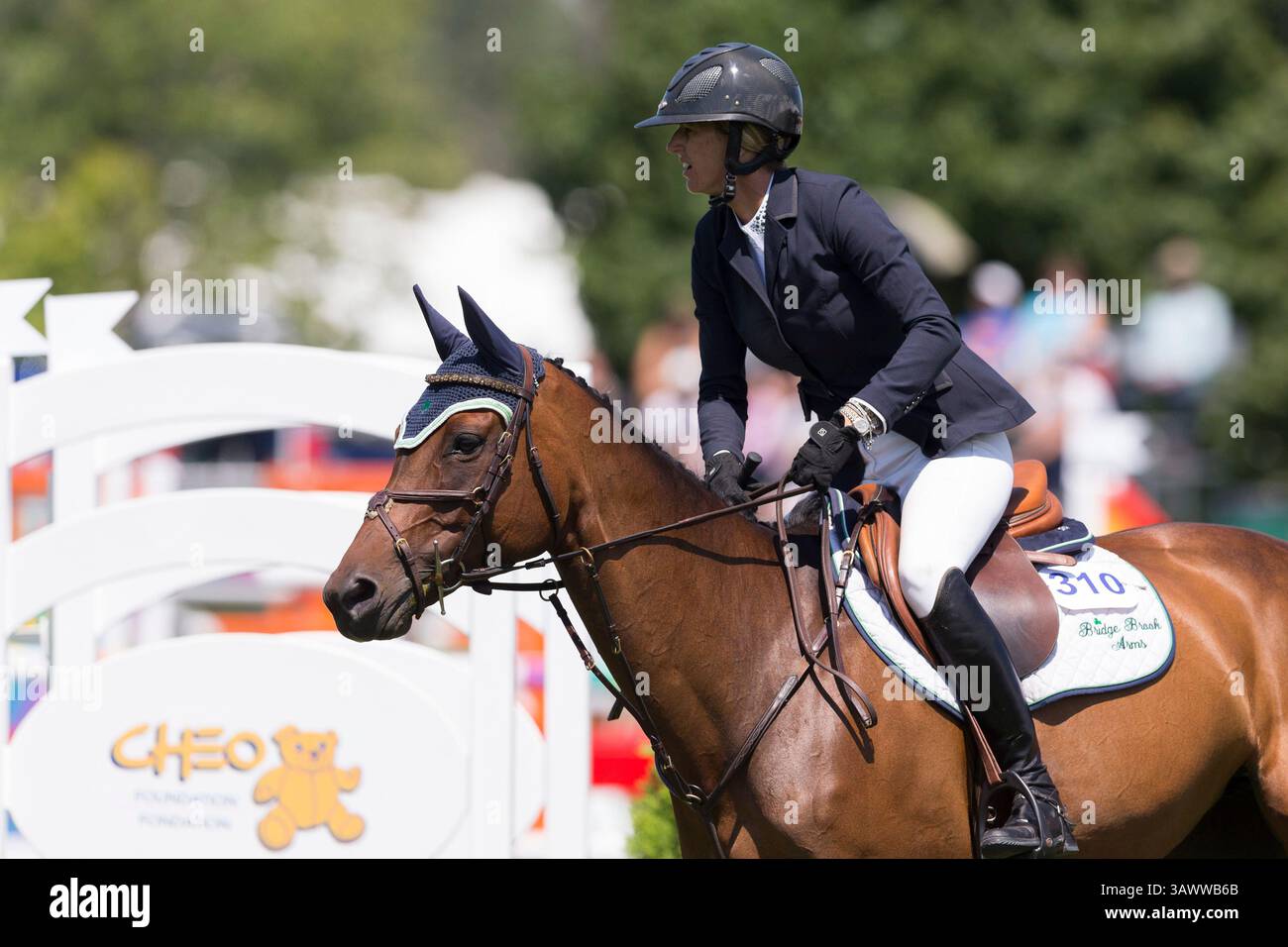22. Juli 2016: Kelly Soleau-Millar reitet itty Bitty (310) bei den $35.000 Open Welcome während der Ottawa International Horse Show in Wesley Clover Parks in Ottawa, ON, Kanada Daniel Lea/CSM(Credit Image: © Daniel Lea/CSM via ZUMA Wire) Stockfoto