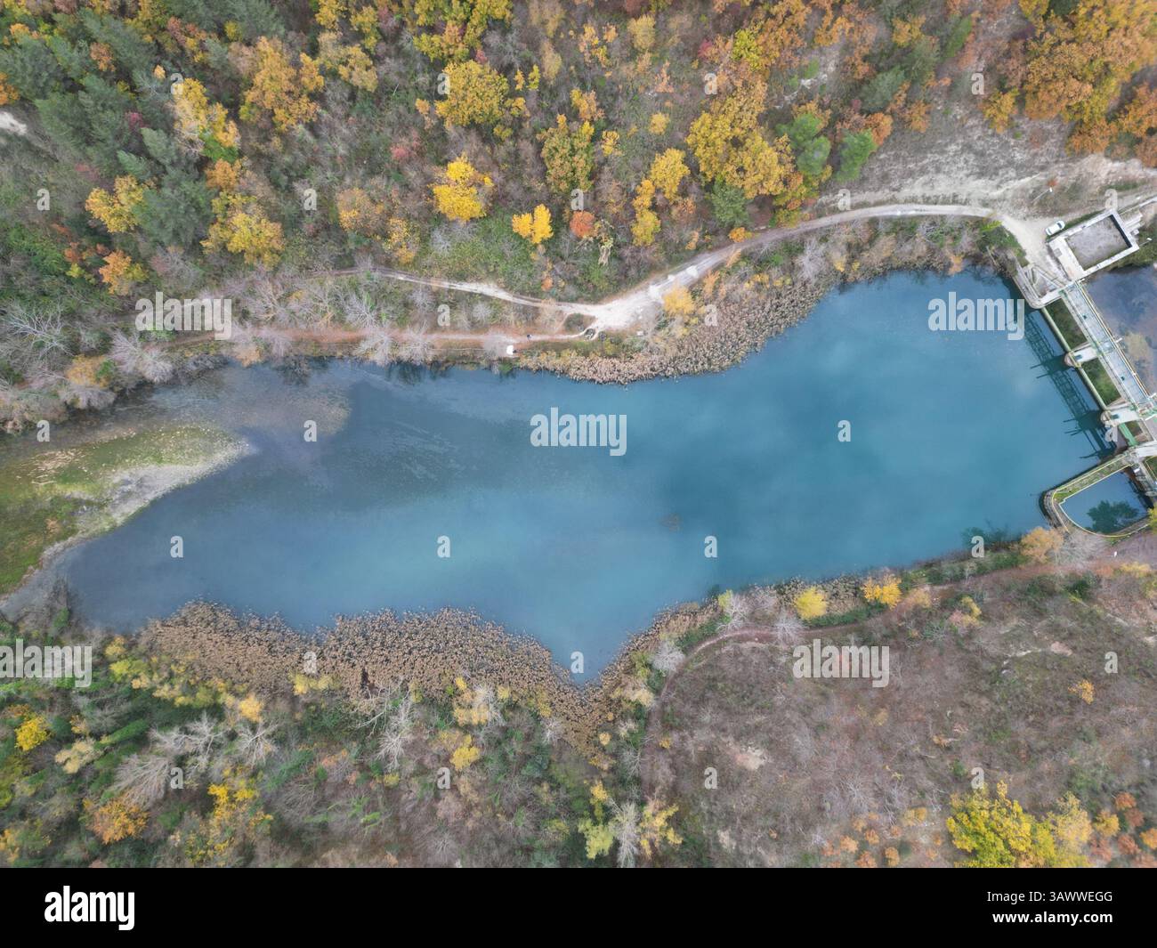 Luftbild des Staudamms Lago di Casette mit farbenfrohem Herbstlaub, aufgenommen in Marken, Italien mit DJI Mini 3 Pro Drohne. Klare Wasser- und Walddetails. Stockfoto