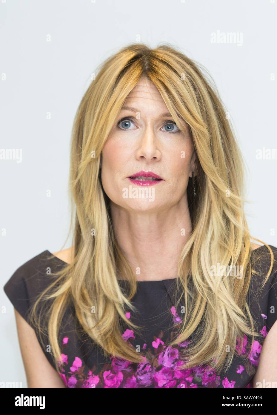 6. November 2014 – Hollywood, Kalifornien, USA – LAURA DERN wirbt für „Wild“ und „Fault of the Stars“. Laura Elizabeth Dern (* 10. Februar 1967) ist eine US-amerikanische Schauspielerin. Für ihren Auftritt im Film Rambling Rose 1991 wurde sie für den Academy Award als beste Schauspielerin nominiert, während sie für ihren Auftritt im Film Wild 2014 für den Academy Award als beste Nebendarstellerin nominiert wurde. Zu ihren weiteren Filmrollen zählen Mask (1985), Smooth Talk (1985), Blue Velvet (1986), Wild at Heart (1990), Jurassic Park (1993), Citizen Ruth (1996), October Sky (1999), I am Sam (2001), Inland Empire (2) Stockfoto