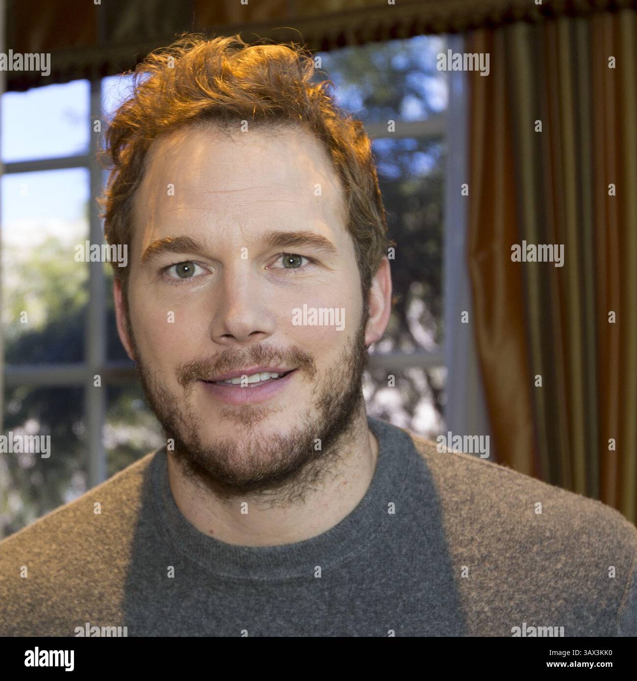 November 2013 – Beverly Hills, Kalifornien, USA – CHRIS PRATT wirbt für „Delivery man“ im Four Seasons Hotel. Christopher Michael Chris Pratt (* 21. Juni 1979 in Virginia, Minnesota) ist ein US-amerikanischer Schauspieler. Er wurde bekannt durch seine Fernsehrollen, darunter Bright Abbott in Everwood (2002–2006) und Andy Dwyer in der NBC-Sitcom Parks and Recreation (2009–2015). Seine frühe Filmkarriere begann mit Nebenrollen in Mainstream-Filmen wie Wanted (2008), Moneyball (2011), The Five-Year Engagement (2012), Zero Dark Thirty (2012), Delivery man (2013) und her (2013), bevor er l erreichte Stockfoto