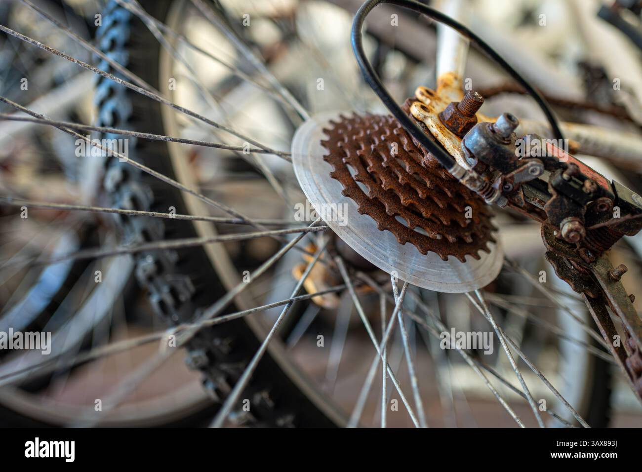 Rostige Zahnräder am Fahrradreifen mit kompliziertem Mechanismus, der mit Rost beschichtet ist. Die Struktur der Zahnräder steht im Kontrast zu den Speichen und Gummireifen in einer Nahaufnahme Stockfoto
