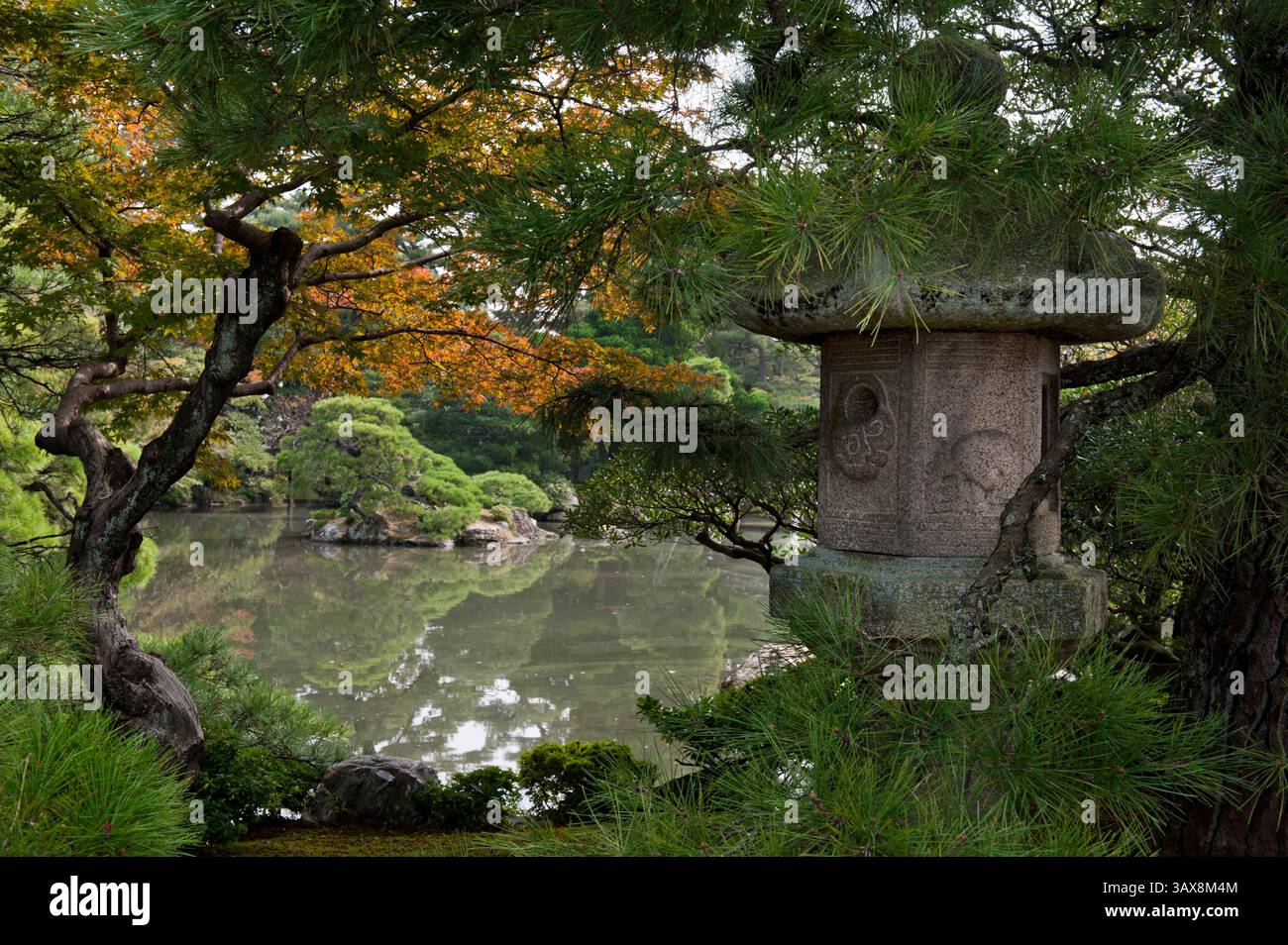 Eine „Ishidoro“ (Steinlaterne) befindet sich zwischen Kiefern im japanischen Garten von Oikeniwa im Gosho Kaiserpalast in Kyoto, Japan. Stockfoto