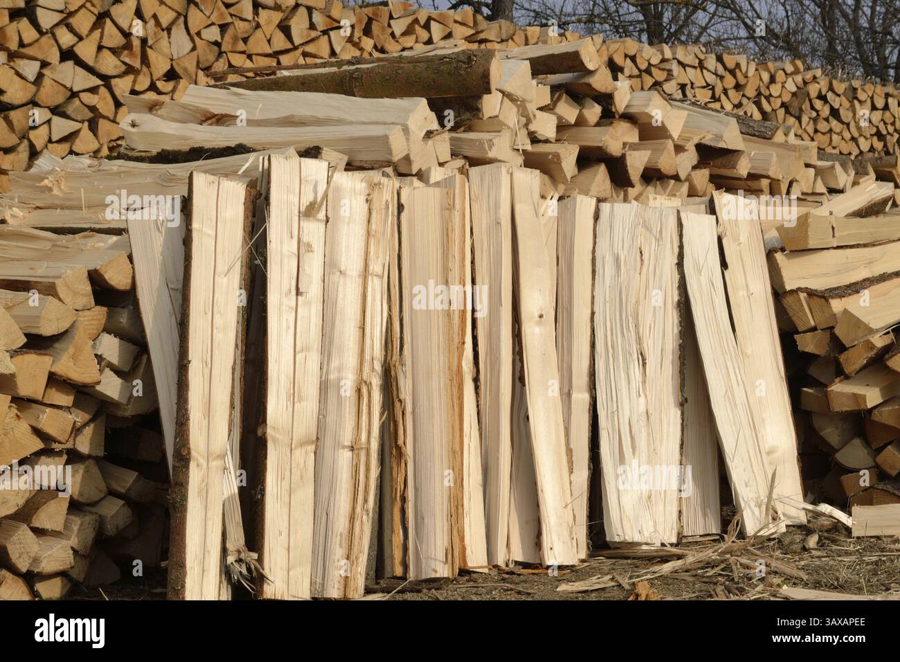 Winterversorgung mit Brennholz im Meterbereich Stockfoto