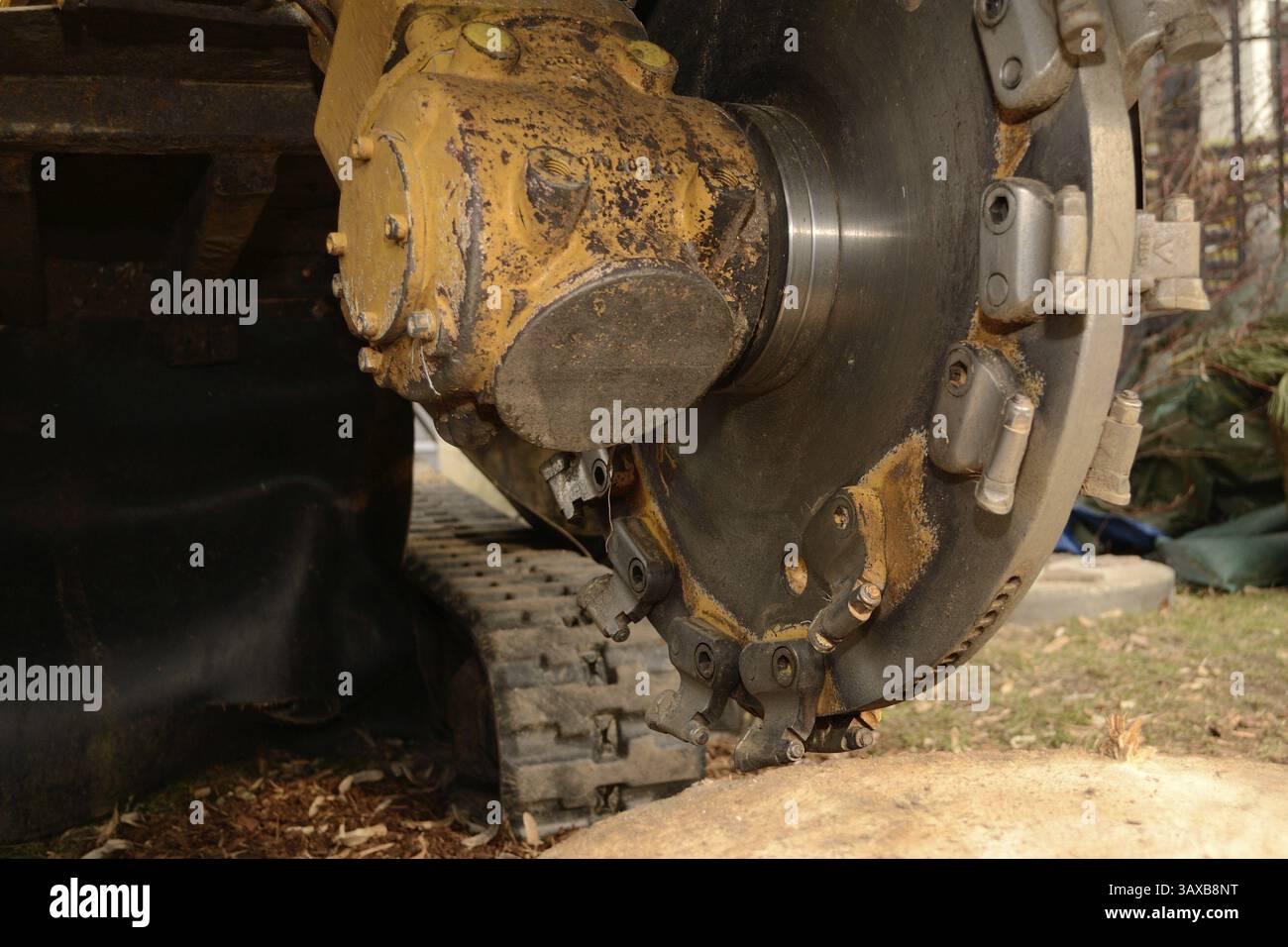 Rootstock Cutter zum Entfernen von Baumstümpfen Stockfoto