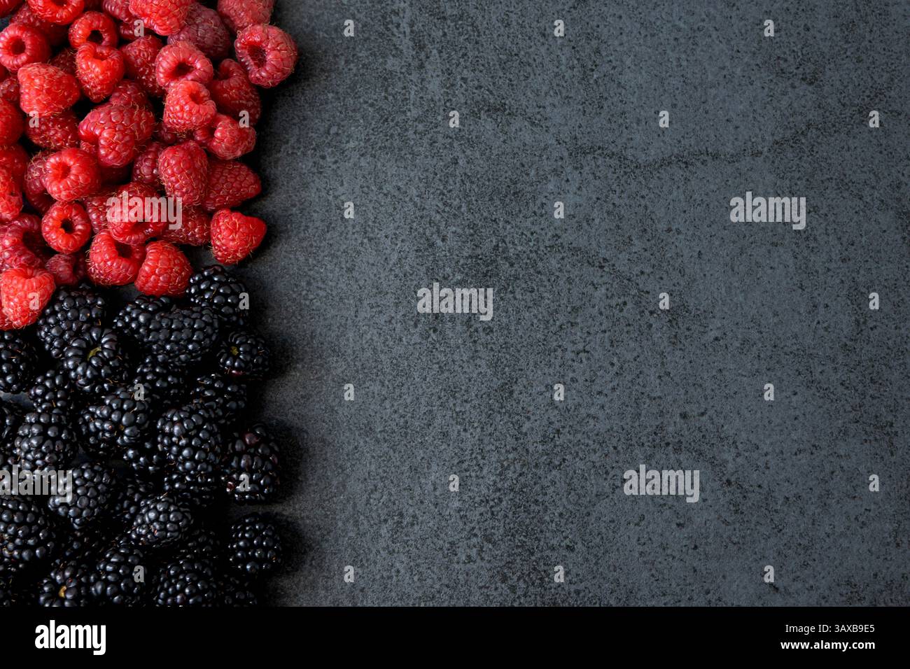 Himbeeren und Brombeeren auf dunklem Hintergrund. Frische Himbeeren und Brombeeren auf einer dunkelgrauen strukturierten Oberfläche. Draufsicht. Freier Speicherplatz für Stockfoto