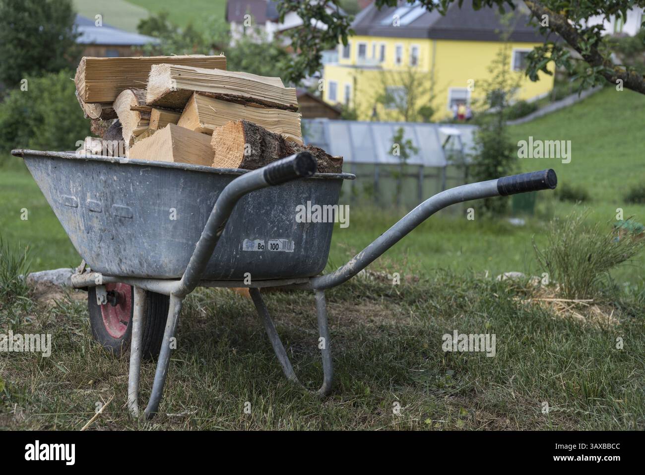 Holzscheite in einer Schubkarre - Schubkarre gefüllt mit Heizmaterial Stockfoto