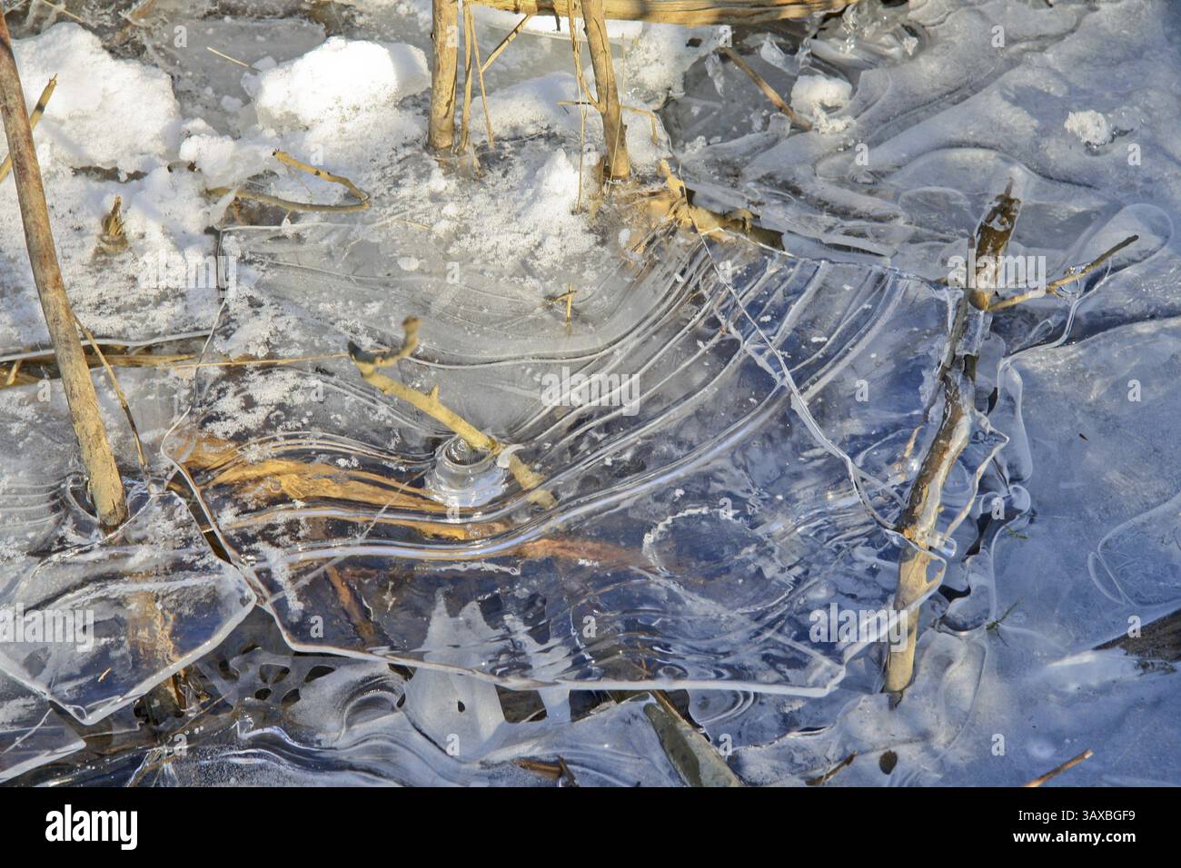 Eisstrukturen in einem gefrorenen Bach Stockfoto
