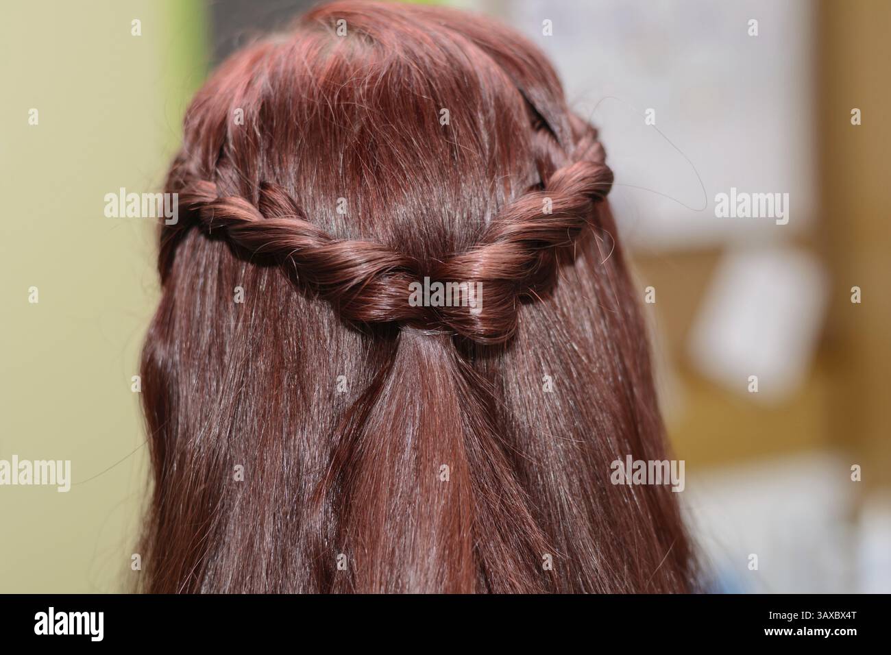 Lange, brünette Haare, die zu einem Zopf geflochten sind Stockfoto