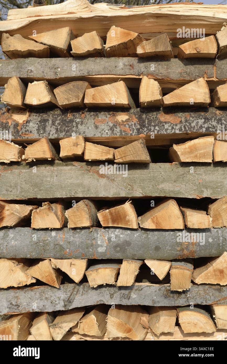 Stapelbare Brennholzversorgung Stockfoto
