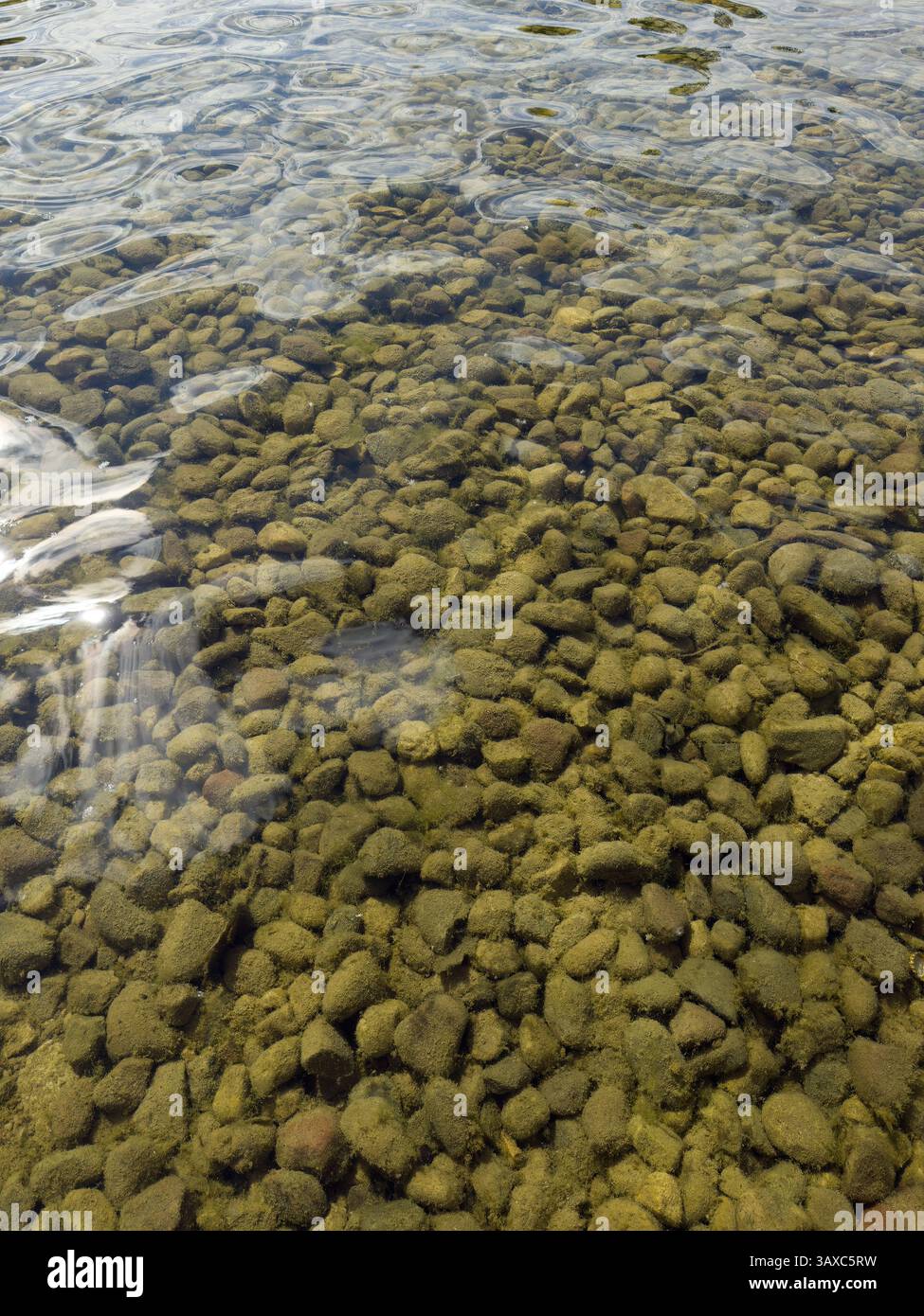 Klares Wasser mit moosbedeckten Steinen unter der Oberfläche, perfekt für Naturhintergründe, Wasserthemen und Umweltprojekte. Ideal zum Designen - Smartphone-aufgenommenes Stockfoto