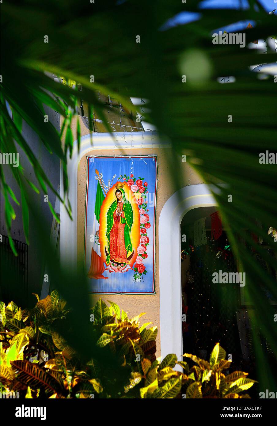 Das Bild unserer Lieben Frau von Guadalupe ist zwischen den Blättern einer Palme an einer kleinen Kapilla am Straßenrand in einem Kunsthandwerksladen zu sehen. Stockfoto