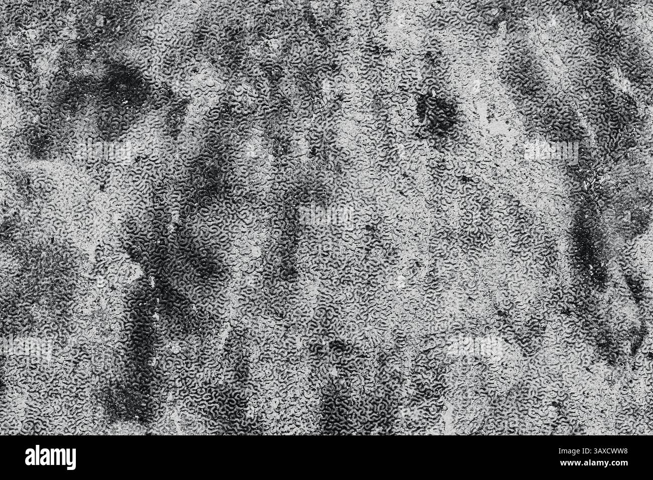 Körnige weiße Flecken von Pinselstrichen an der schwarzen Wand Stockfoto