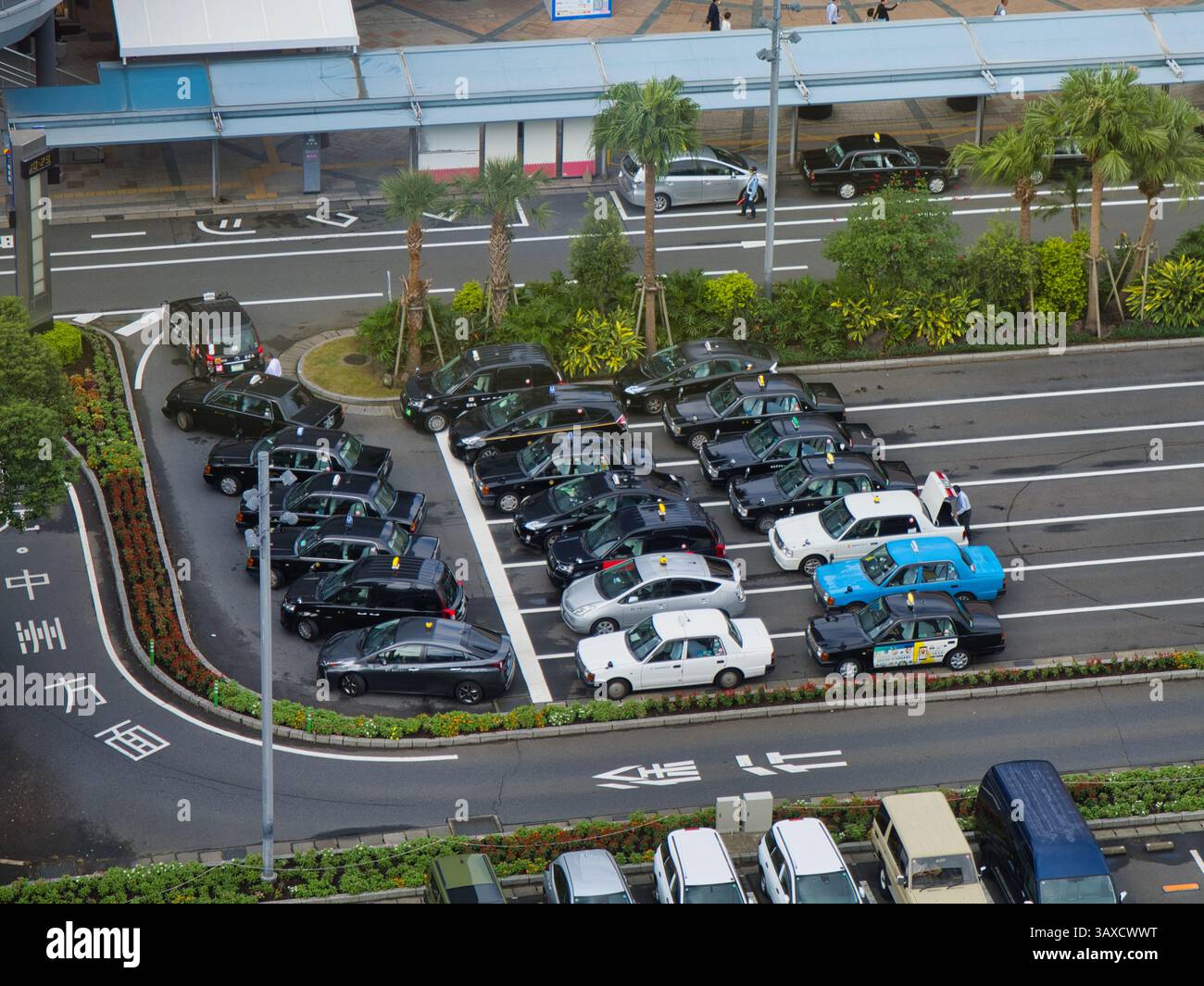 Aus der Vogelperspektive auf Taxis, die im Zentrum von Kagoshima, Kyushu, Japan stehen. Das Bild zeigt eine Mischung aus schwarzen, weißen und blauen Taxis, die in einer organisierten Ma angeordnet sind Stockfoto