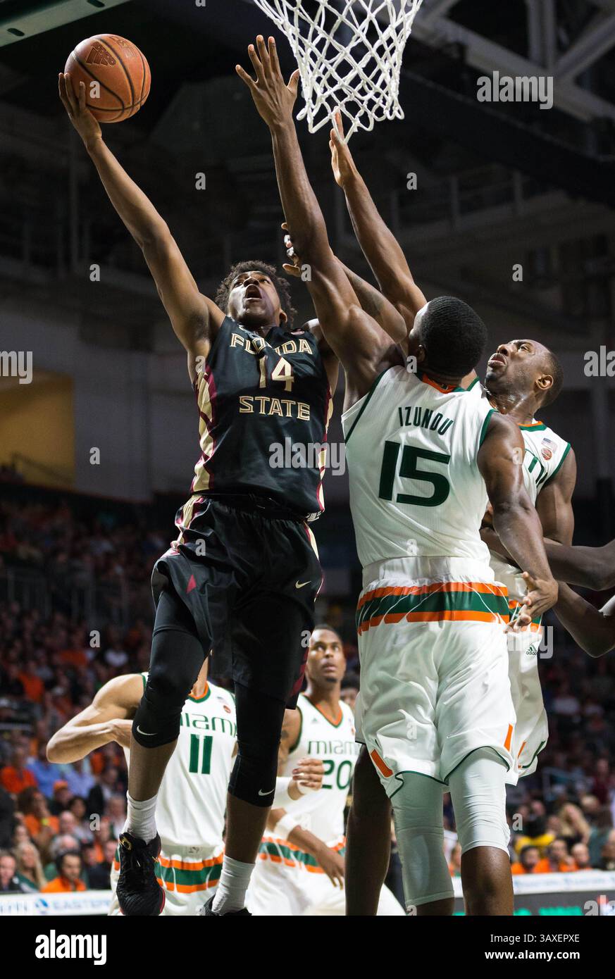 1. Februar 2017: Florida State Guard Terance Mann (14) geht in den Korb gegen Miami Center Ebuka Izundu (15) und Miami Guard Davon Reed (5) während des NCAA Basketballspiels zwischen den Florida State University Seminoles und den University of Miami Hurricanes im Watsco Center in Coral Gables, Florida. Florida State besiegte Miami von 75 bis 57. Mario Houben/CSM(Kreditbild: &Copy; Mario Houben/CSM via ZUMA Wire) Stockfoto