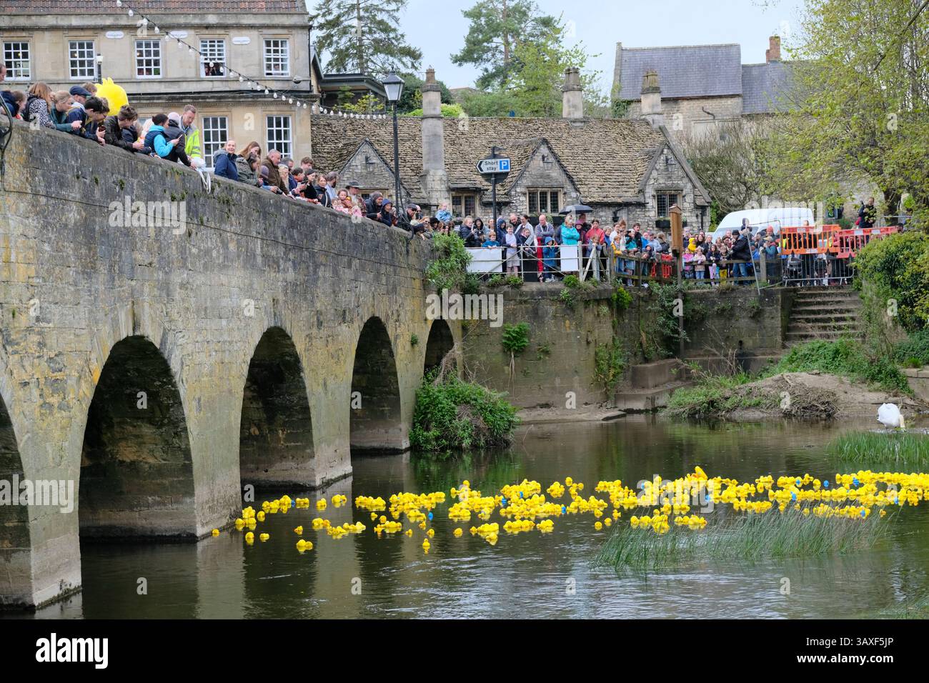 Bradford-on-Avon, Großbritannien. April 2025. In Bradford-on-Avon findet jedes Jahr das Easter Duck Race statt. Die Teilnehmer können eine Ente sponsern, und der Erlös geht an Puddle Ducks, eine örtliche Schwimmschule. Quelle: JMF News/Alamy Live News Stockfoto