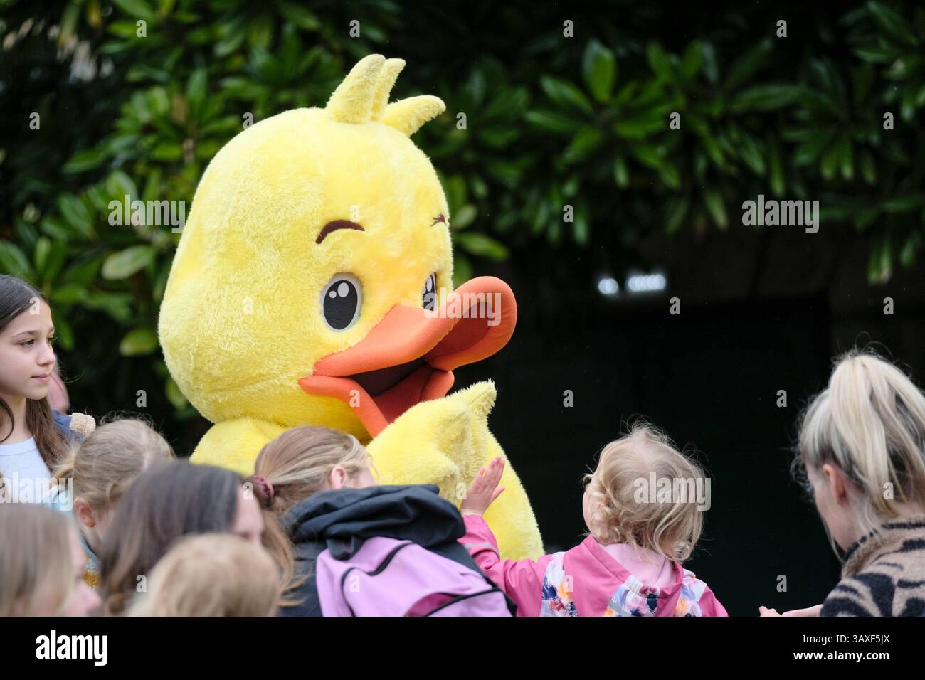 Bradford-on-Avon, Großbritannien. April 2025. In Bradford-on-Avon findet jedes Jahr das Easter Duck Race statt. Die Teilnehmer können eine Ente sponsern, und der Erlös geht an Puddle Ducks, eine örtliche Schwimmschule. Quelle: JMF News/Alamy Live News Stockfoto