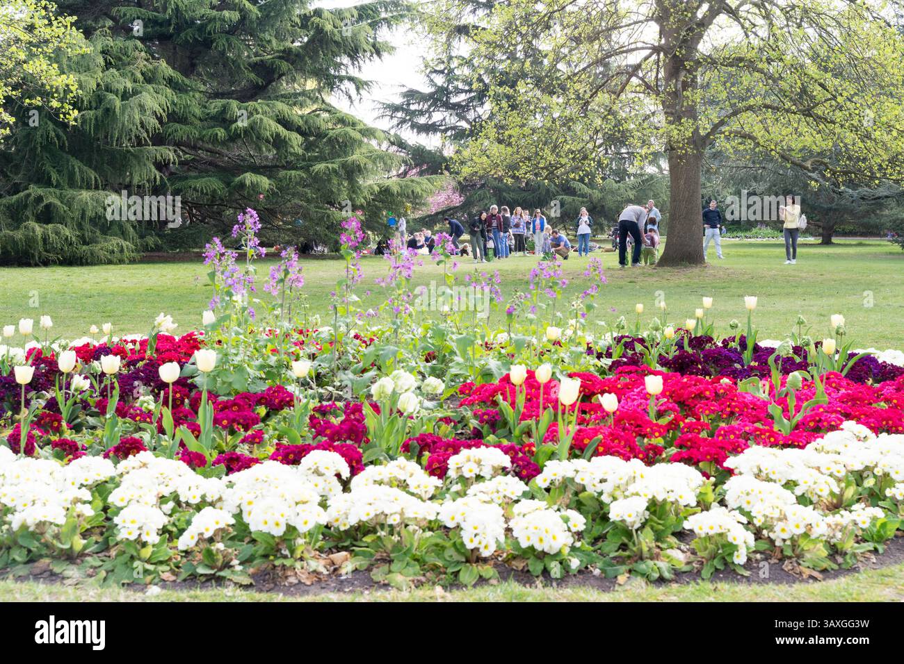 Greenwich Flower Garten und Familientreffen am sonnigen Frühlingstag England Großbritannien Stockfoto