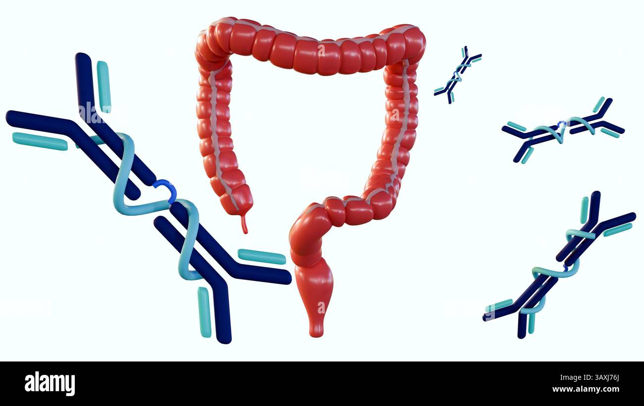 3D-Rendering von humanem Dickdarm und verstreuten Immunglobulin A- oder IgA-Antikörpermolekülen. Stockfoto