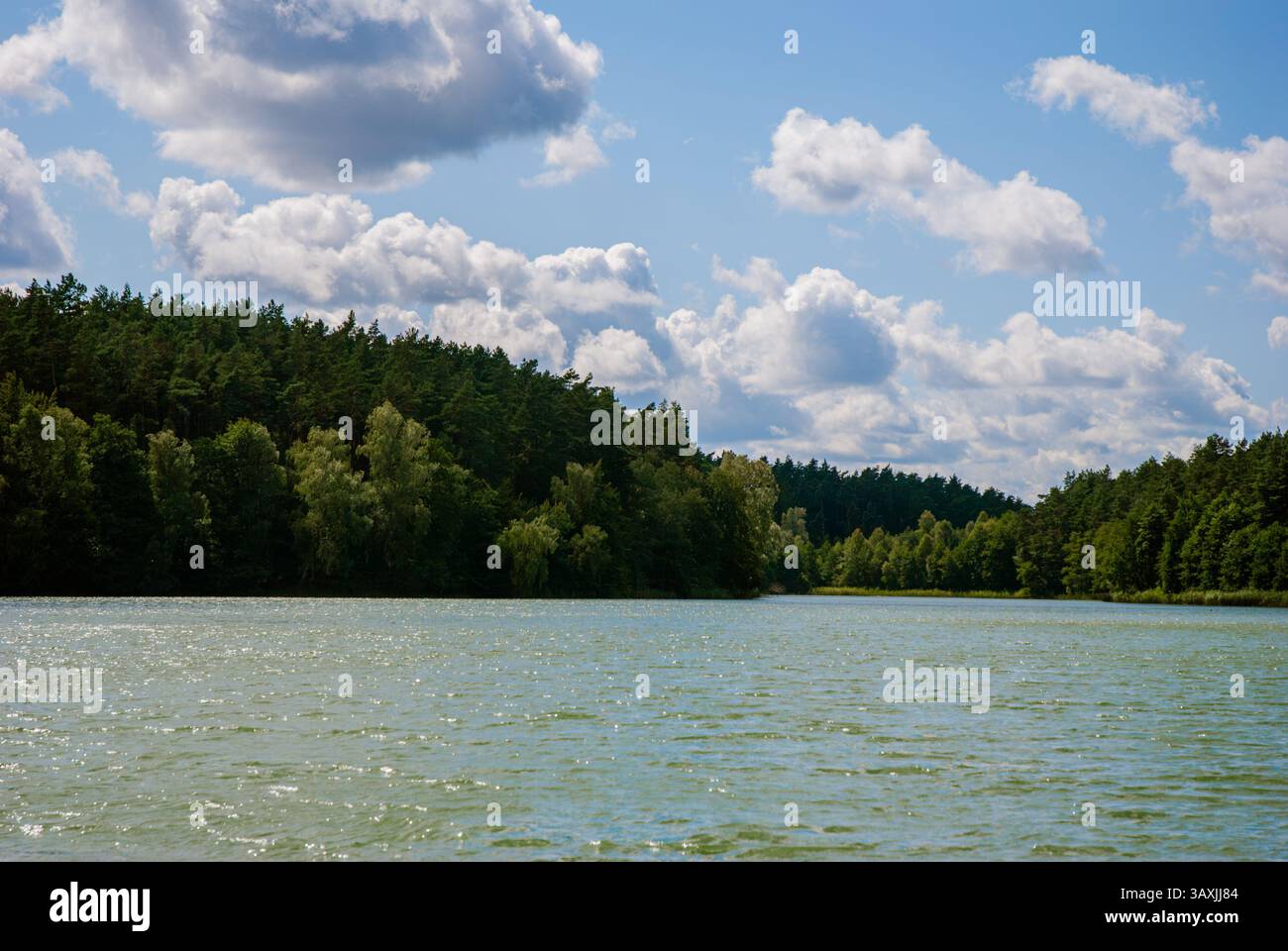 Malerischer Blick auf den See mit Wald und bewölktem Himmel in ruhiger Natur. Wochenendkonzept in der Nähe des Waldes und Sees. Stockfoto