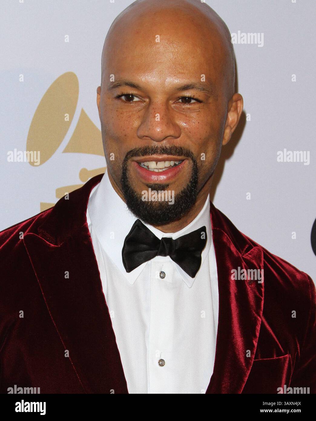 8. Februar 2015 - Los Angeles, CA, Vereinigte Staaten von Amerika - 7. Februar 2015 - Los Angeles, Kalifornien - Common. Pre-GRAMMY-Gala und Gruß an Industrie-Icons mit Clive Davis zu Ehren Martin Bandier statt im Beverly Hilton Hotel. Bildnachweis: AdMedia (Kredit-Bild: © AdMedia über ZUMA Draht) Stockfoto