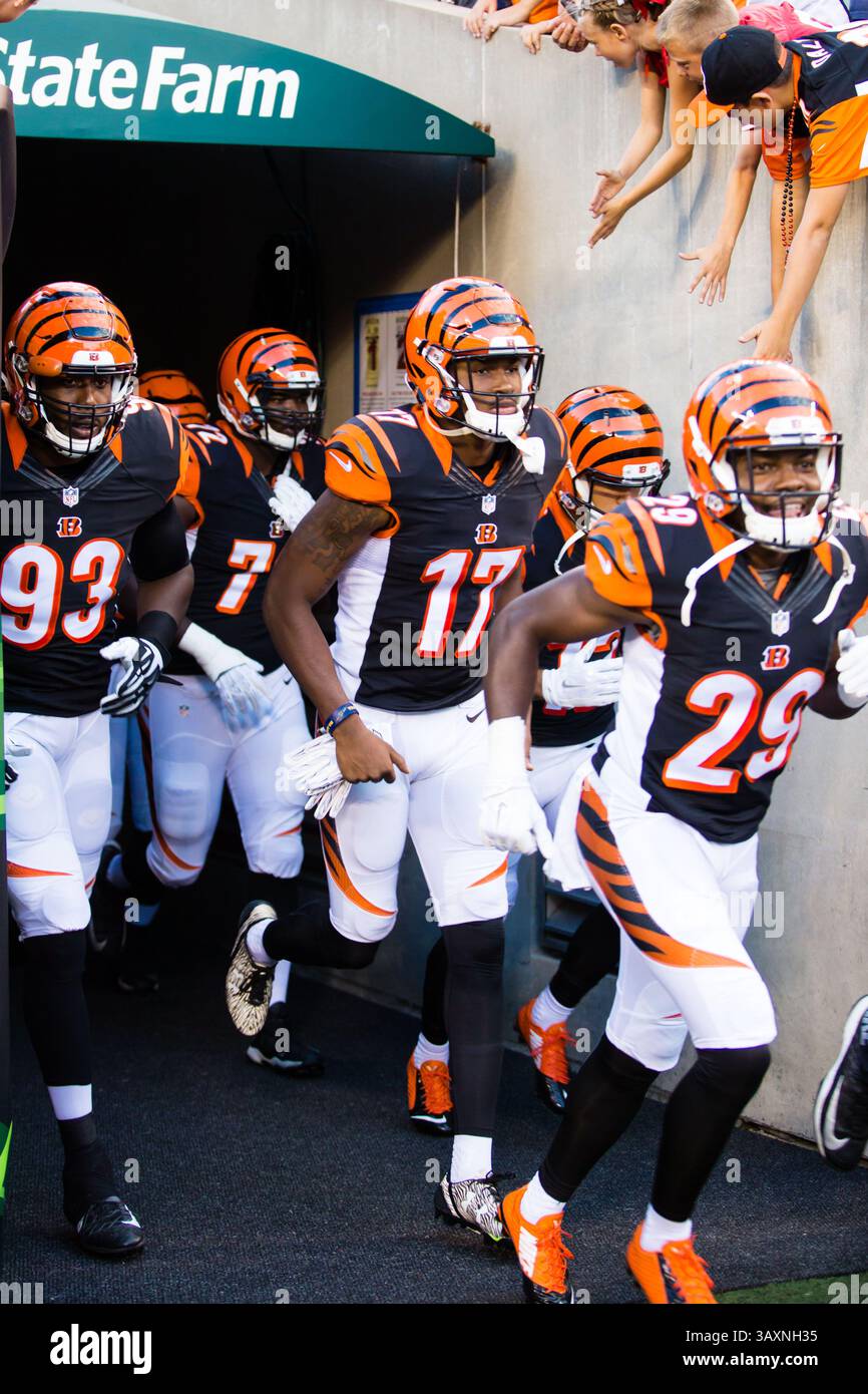 1. September 2016 – Nevada, USA – die Bengals verlassen den Tunnel beim Start des Fußballspiels der Indianapolis Colts bei Cincinnati Bengals im Paul Brown Stadium in Cincinnati, Ohio. Die Bengalen und die Colts sind 0-0 auf der Hälfte. (Kreditbild: © Mat Gdowski via ZUMA Wire) Stockfoto