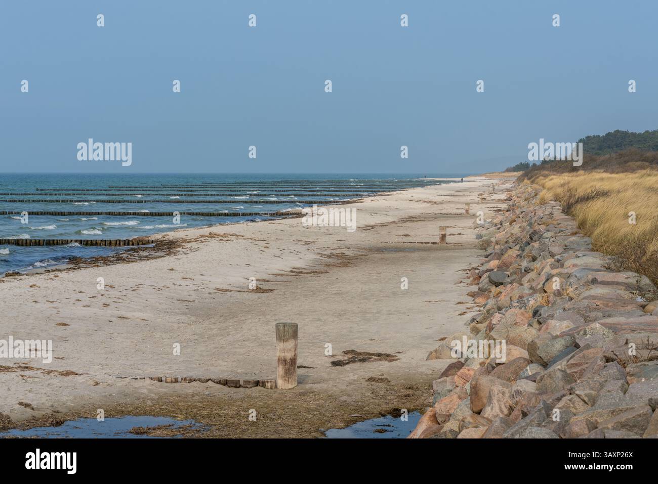 Strand entlang der Westseite der Insel Hiddensee an der Ostsee, Mecklenburg-Vorpommern, Deutschland, Europa Stockfoto
