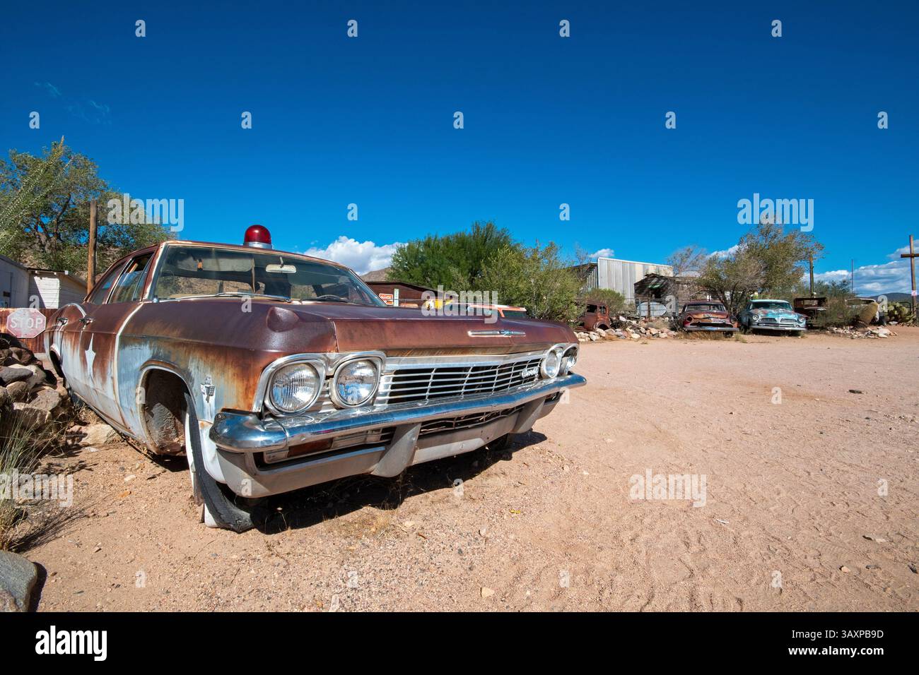 Alte verrostete Autos (im Vordergrundwagen Chevrolet Impala Sheriff Car) im Hackberry General Store entlang der Route 66, Hackberry, Mohave County, Arizona, USA Stockfoto