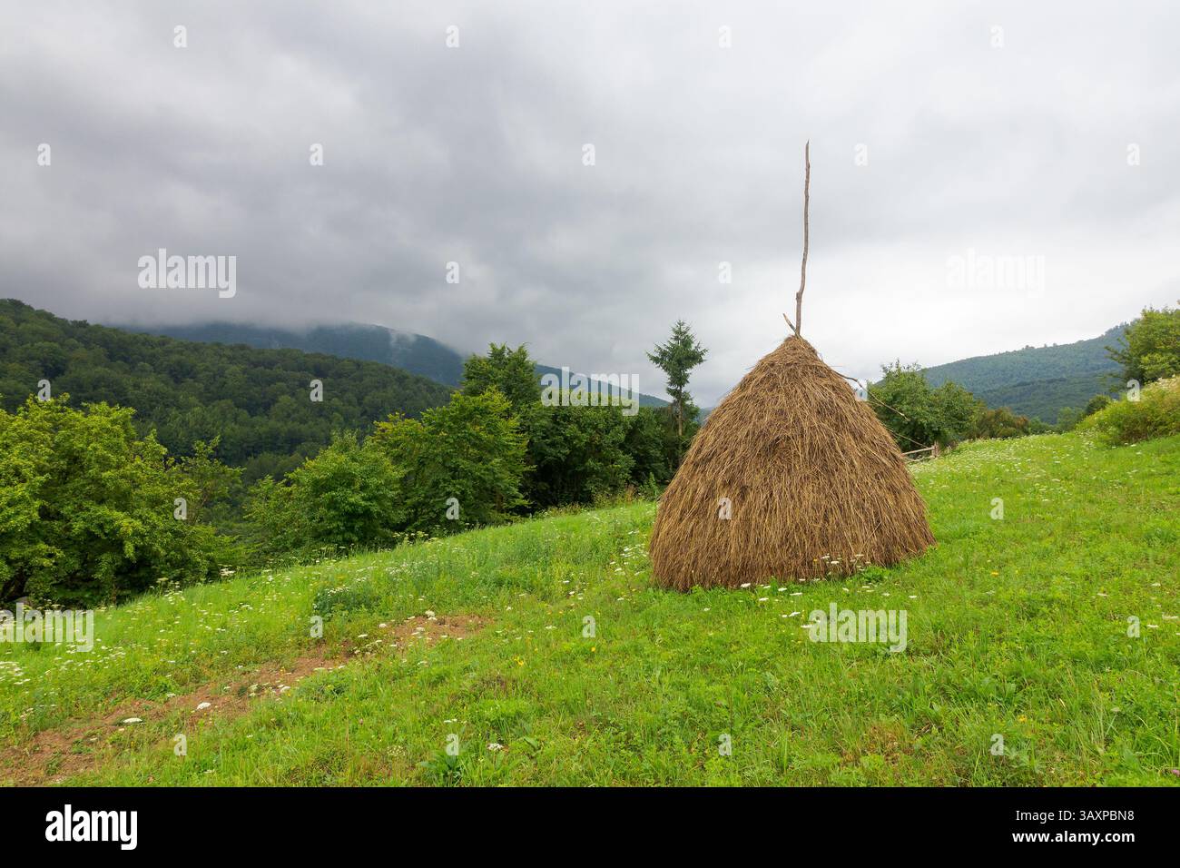 Heuhaufen auf dem grasbewachsenen Hügel. Ländliches Feld im Bergregion im Sommer. Trockener Strohhaufen. moody Landschaft ukraine an bewölktem Tag Stockfoto