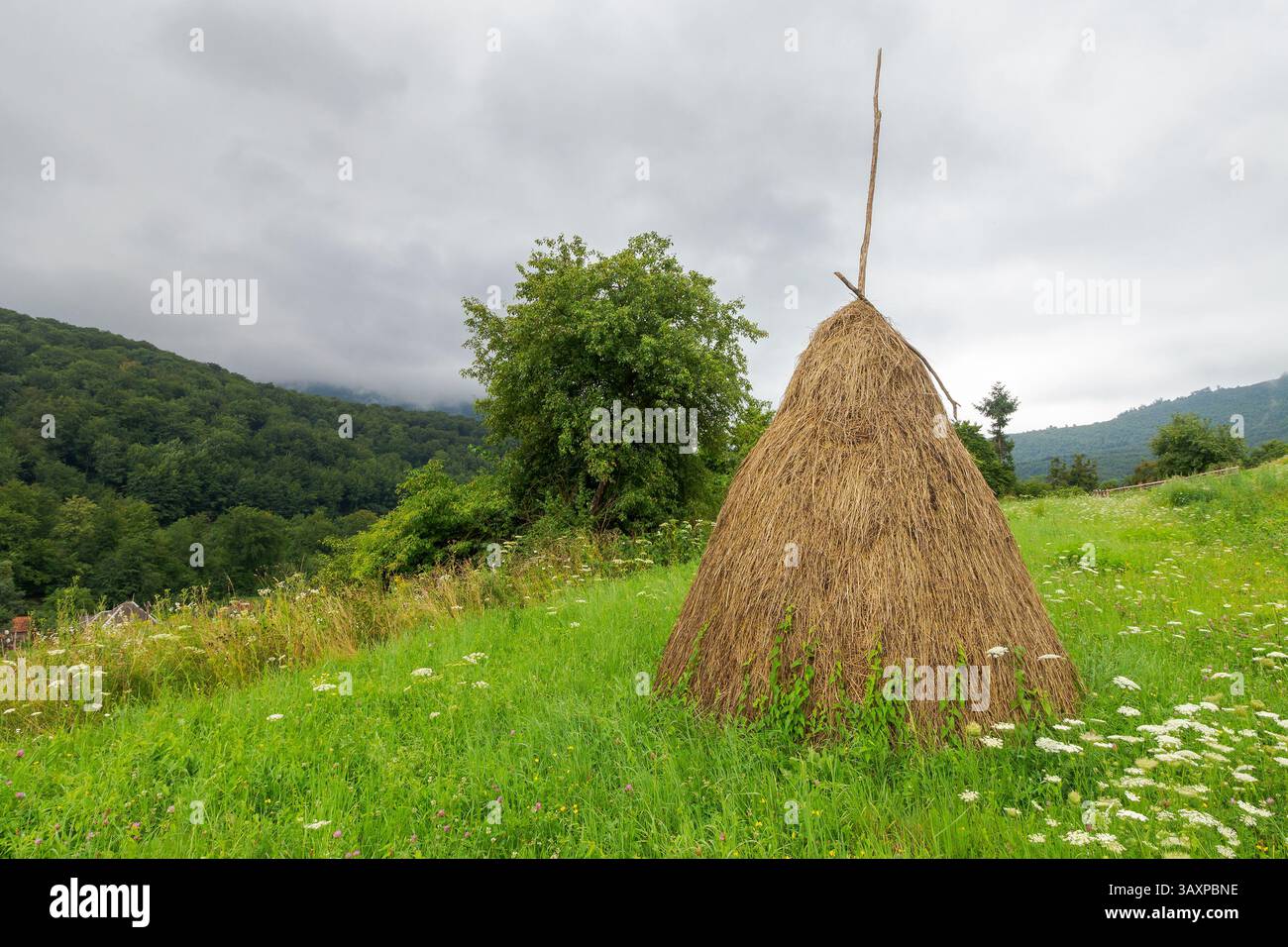 Heuhaufen auf dem grasbewachsenen Hügel. Ländliches Feld im Bergregion im Sommer. karpatenviertel Remore. moody Landschaft ukraine auf Overcas Stockfoto