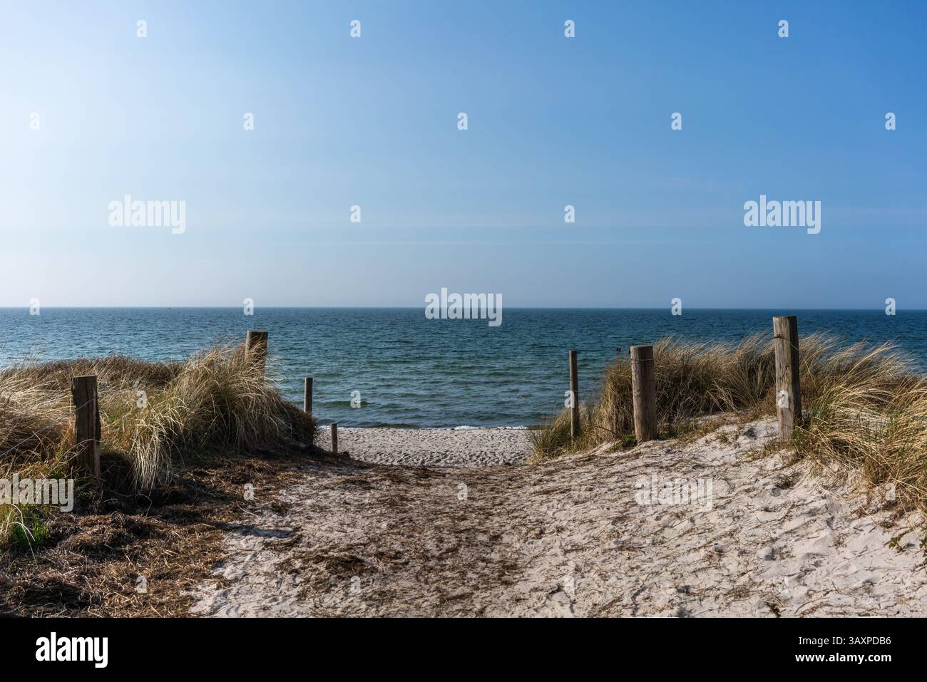 Blick durch die Dünen auf den Strand entlang der Westseite der Insel Hiddensee an der Ostsee, Mecklenburg-Vorpommern, Deutschland, Europa Stockfoto