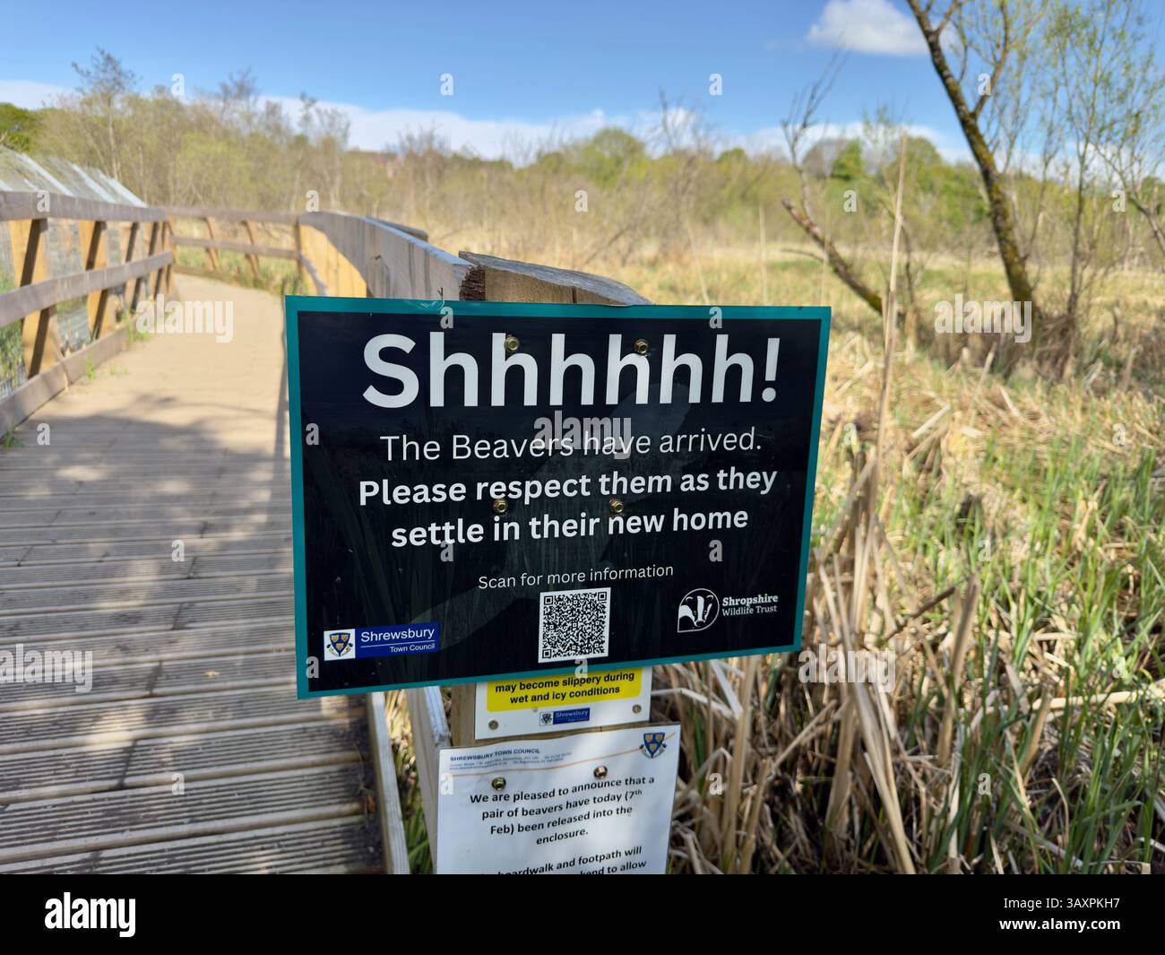 Großes schwarz-weißes Schild auf einem Pfosten in einem Naturschutzgebiet mit der Aufschrift Shhhhh! In dem Versuch, Menschen zu ermutigen, sich in der Nähe wiedereingeführter Biber zu verhalten. Stockfoto