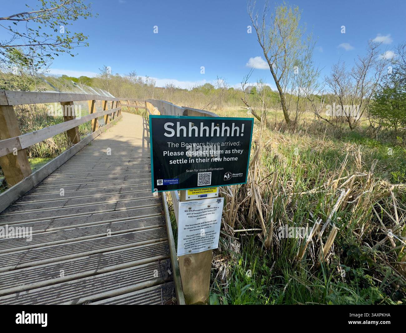 Großes schwarz-weißes Schild auf einem Pfosten in einem Naturschutzgebiet mit der Aufschrift Shhhhh! In dem Versuch, Menschen zu ermutigen, sich in der Nähe wiedereingeführter Biber zu verhalten. Stockfoto