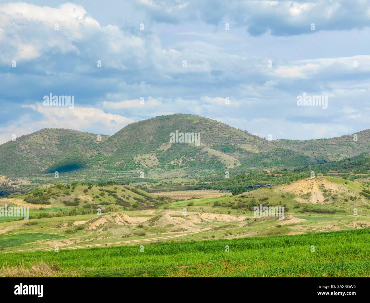 Frühlingsruhe: Ländliche Landschaft Stockfoto