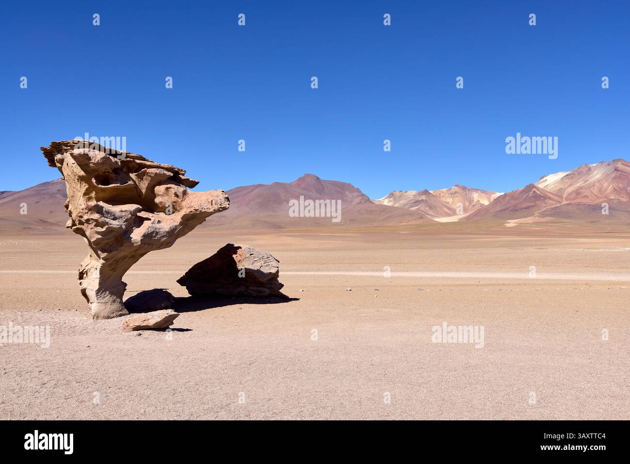 In der bolivianischen Wüste mit farbenfrohen Gebirgszügen im Hintergrund steht eine Felsformation, die einem Baum ähnelt. Eduardo Avaroa Natio Stockfoto