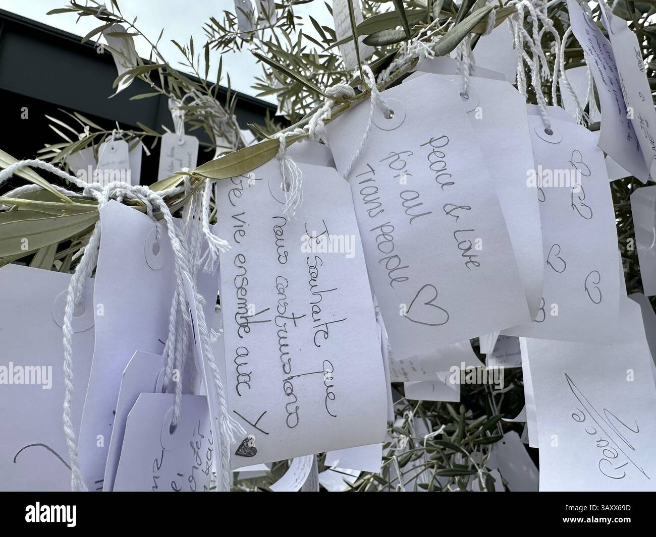 Detail der interaktiven Kunstinstallation Wish Tree vor der Neuen Nationalgalerie in Berlin, Deutschland, 2025 Stockfoto