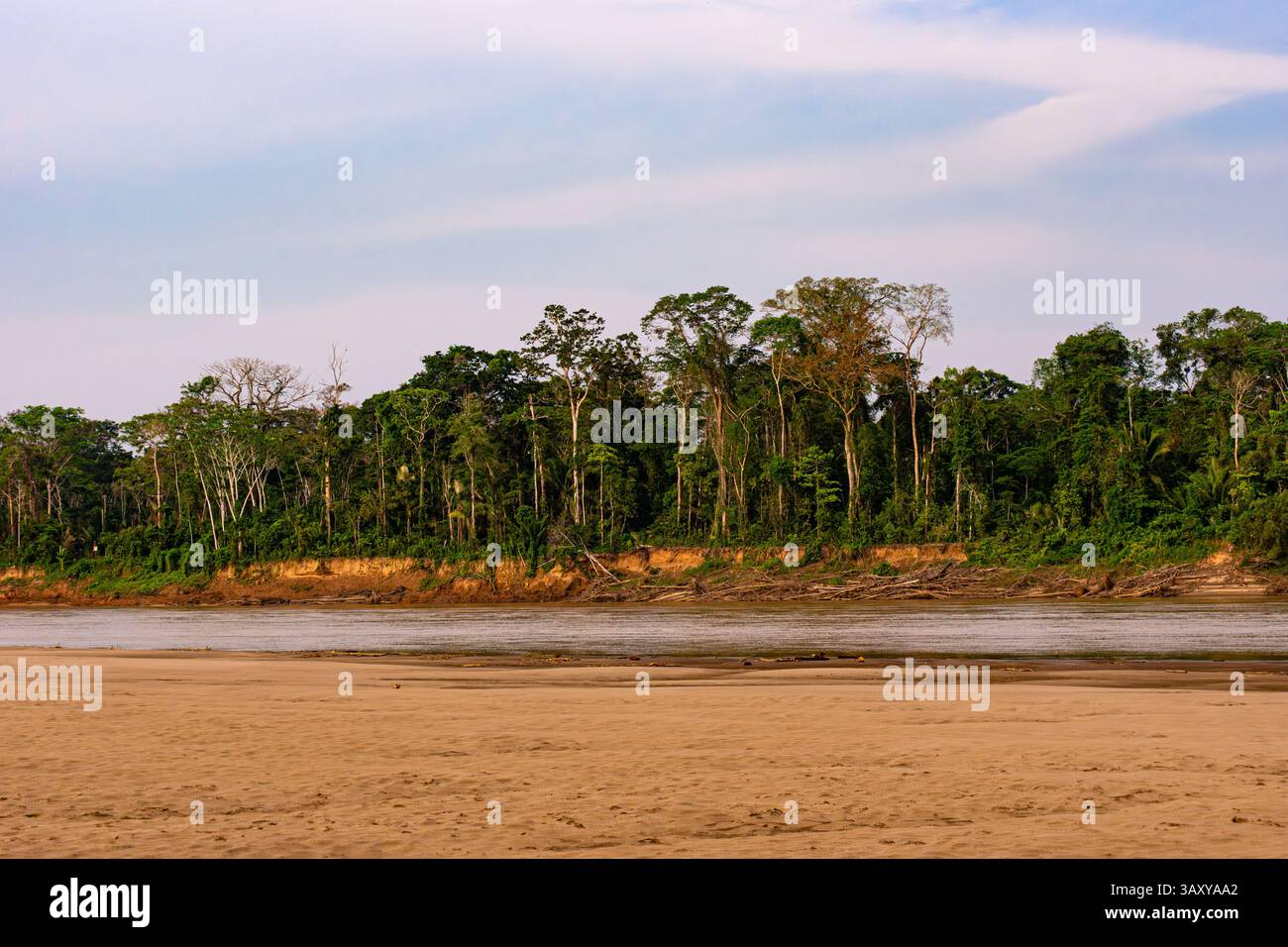 Der peruanische Amazonasfluss bei Ebbe offenbart den Strand und das Ufer im peruanischen Dschungel Stockfoto