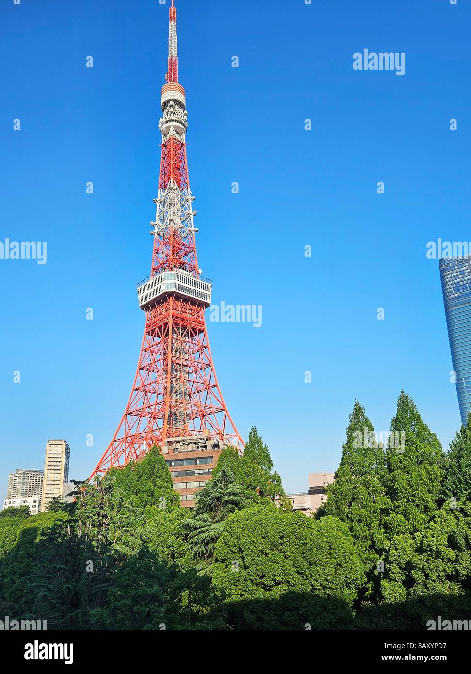 Der Tokyo Tower Erhebt Sich Über Urbanes Grün Unter Klarem Blauem Himmel Stockfoto