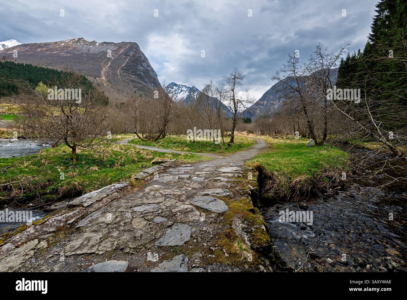 Ein gewundener Steinweg führt durch ein üppiges grünes Tal, das von hohen Bergen und einem grauen, bewölkten Himmel im frühen Frühjahr umgeben ist. Stockfoto