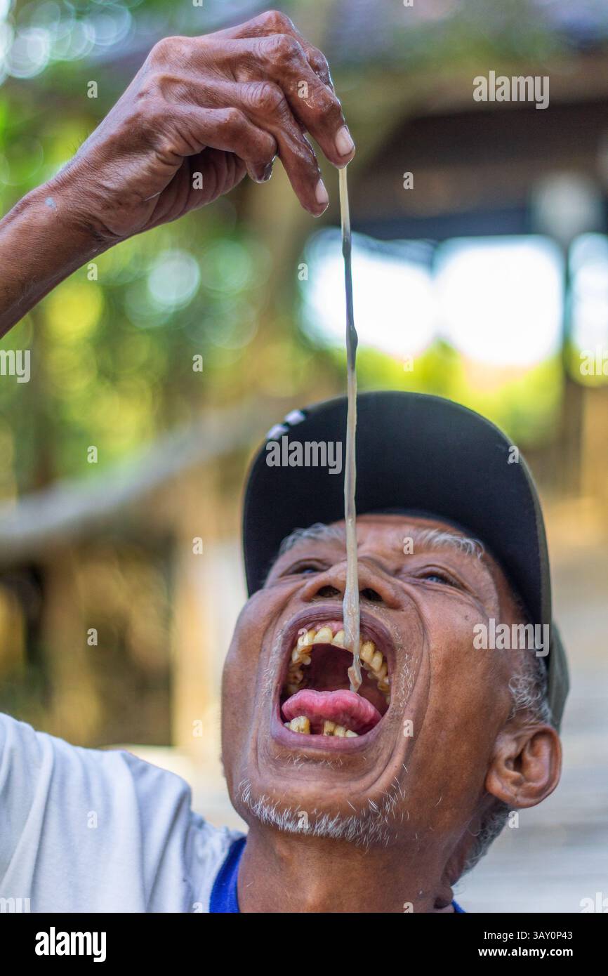 Ein alter philippinischer Mann isst im Bakhawan Ecopark in Kalibo, Aklan, im Rahmen einer Ökotourismus-Demonstration Holzwürmer, eine einzigartige Weichtierspezialität Stockfoto