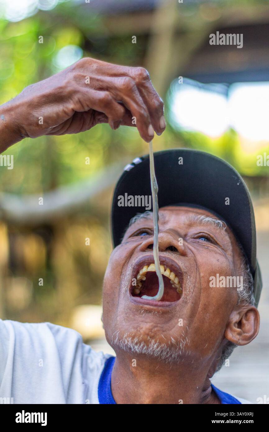 Ein alter philippinischer Mann isst im Bakhawan Ecopark in Kalibo, Aklan, im Rahmen einer Ökotourismus-Demonstration Holzwürmer, eine einzigartige Weichtierspezialität Stockfoto