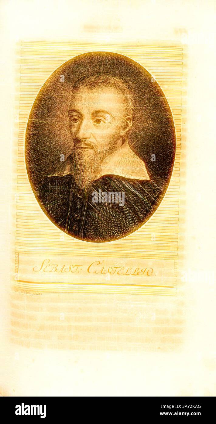 Ein historisches Porträt eines Mannes mit Bart und Rüschenkragen, eingerahmt von einer kunstvollen ovalen Grenze, begleitet von einem eingeschriebenen Namen unten. Sebastian. Castellio, Porträt von Sebastian Castellio (auch Sébastien Castellion), signiert: H. Pfen., fecit, TAF. 25, S. 174, Pfenninger, Heinrich (fec.), Leonhard Meister; Heinrich Pfenninger; J. C Fäsi: Helvetiens berühmte Männer in Bildnissen. Bd. 1. Zürich: im Verlag von Heinrich Pfenninger Mahler, 1799, Klassische Kunst mit modernem Twist neu interpretiert von Artotop Stockfoto
