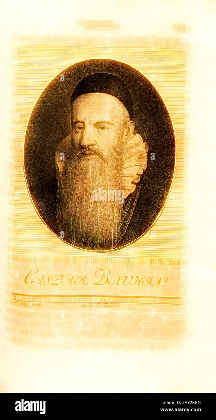 Ein historisches Porträt eines würdevollen Mannes, mit einem markanten Bart und einem gerüschten Kragen, mit einem ernsten Ausdruck und einem nachdenklichen Blick. Seine Kleidung und sein Stil deuten auf eine bedeutsame Figur aus einer vergangenen Ära hin., Caspar Bauhin, Portrait von Johann Caspar Bauhin, H. Pf. Fecit, Taf. 30, S. 224, Pfenninger, Heinrich (fec.), Leonhard Meister; Heinrich Pfenninger; J. C Fäsi: Helvetiens berühmte Männer in Bildnissen. Bd. 1. Zürich: im Verlag von Heinrich Pfenninger Mahler, 1799, Klassische Kunst mit modernem Twist neu interpretiert von Artotop Stockfoto