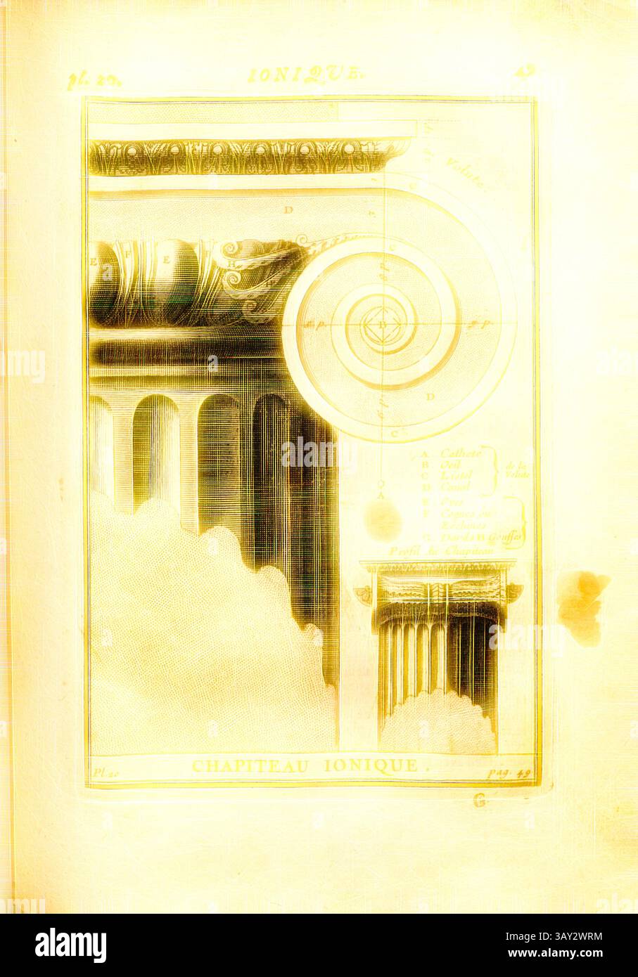 Eine Illustration mit klassischen architektonischen Elementen, mit aufwändig gestalteten ionischen Säulen und ihren Kapitellen, zusammen mit detaillierten ornamentalen Mustern und Maßen. Ionische Hauptstadt, Ionische Hauptstadt, PL. 20, S. 49, 1720, Augustin-Charles d'Aviler: Cours d'Architecture: Qui comprend les ordres de Vignole, avec des commentaires, les figures & description de ses plus beaux bâtimens, & de ceux de Michel-Ange, plusieurs nouveaux desseins, ornemens & préceptes, contenant la Distribution, la décoration, la matière & la Construction des édifices, la mazonnerie, la charpenterie, la cou Stockfoto