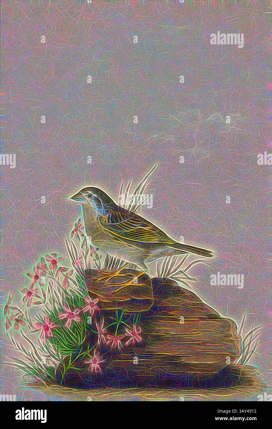 Ein kleiner Vogel thront elegant auf einem Felsen, umgeben von zarten Blumen, mit weichen, farbenfrohen Linien, die ein traumhaftes, künstlerisches Ambiente schaffen., Gelbflügelbunte, Ammer (Emberiza passerina), signiert: J.J. Audubon, J.T. Bowen, Lithograph, PL. 162 (Vol. 3), Audubon, John James (gezeichnet); Bowen, J. T. (lith.), 1856: John James Audubon: the Birds of America: aus Zeichnungen in den Vereinigten Staaten und ihren Territorien. New York: Audubon, 1856, Klassische Kunst mit modernem Touch, neu interpretiert von Artotop Stockfoto