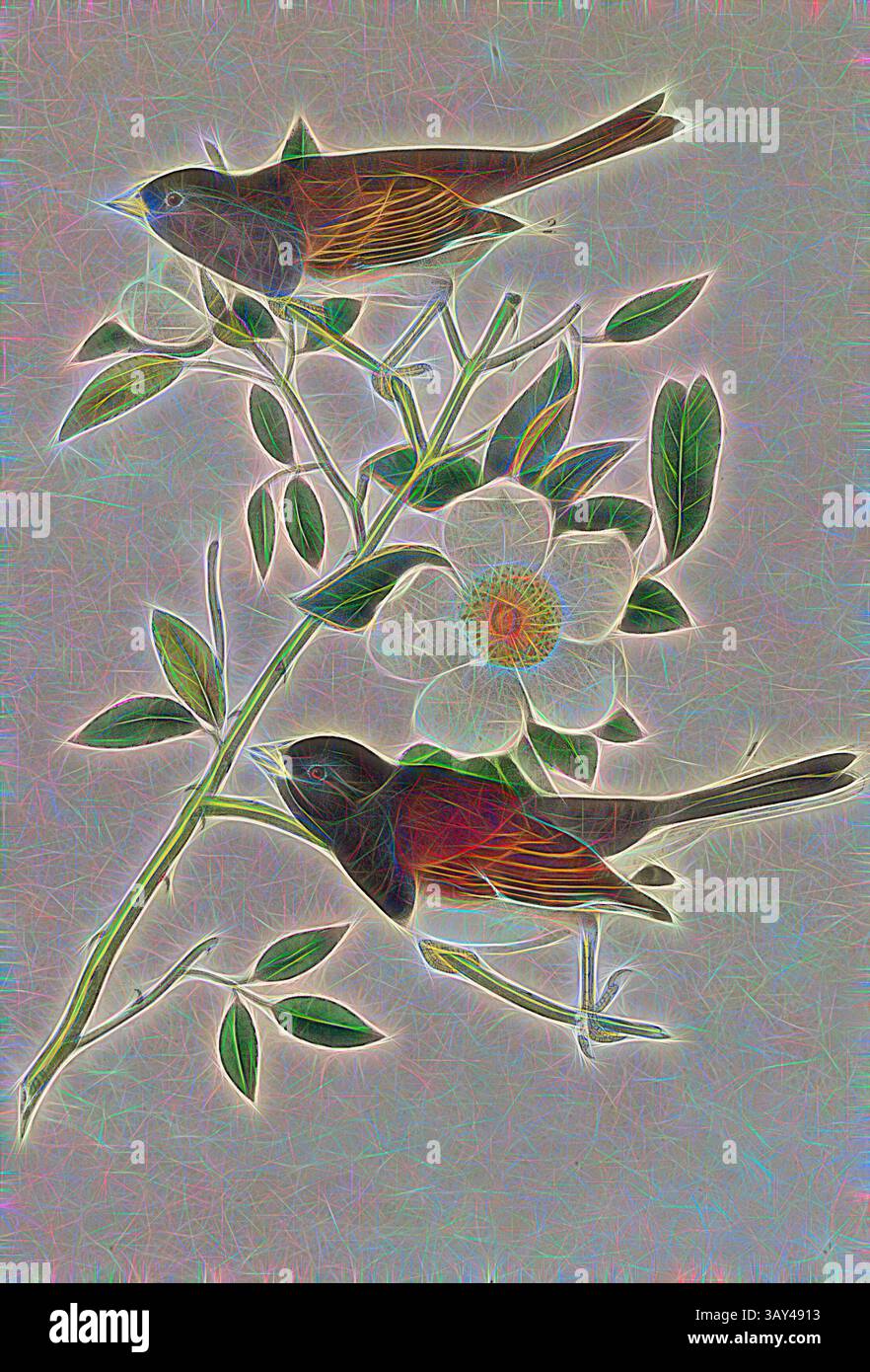 Zwei stilisierte Vögel auf einem Zweig mit leuchtenden Blättern und einer zarten Blume, umgeben von einem abstrakten, farbenfrohen Hintergrund. Oregon Snow-Bird - Rosa Laevigata, Oregon Junko (Junco hyemalis oreganus, Niphaea oregona), Cherokee Rose, signiert: J.J. Audubon, J.T. Bowen, Lithografie, Pl. 168 (Vol. 3), Audubon, John James (gezeichnet); Bowen, J. T. (lith.), 1856: John James Audubon: the Birds of America: aus Zeichnungen in den Vereinigten Staaten und ihren Territorien. New York: Audubon, 1856, Klassische Kunst mit modernem Touch, neu interpretiert von Artotop Stockfoto