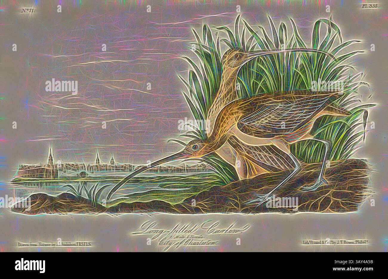Ein Paar eleganter Küstenvögel steht inmitten üppiger Vegetation, ihre langen Schnäbel sind auf der Suche nach Nahrung entlang eines ruhigen Wasserrandes, mit fernen Landschaften, die der ruhigen Umgebung Tiefe verleihen., Langschnabelschnecke, Ranebird oder American Curlew (Numenius americanus, Numenius longirostris), signiert: J.J. Audubon, J.T. Bowen, Lithograph, Pl. 355 (Band 6), Audubon, John James (gezeichnet); Bowen, J. T. (lith.), 1856: John James Audubon: the Birds of America: aus Zeichnungen in den Vereinigten Staaten und ihren Territorien. New York: Audubon, 1856, Klassische Kunst mit modernem Touch, neu interpretiert von Artotop Stockfoto