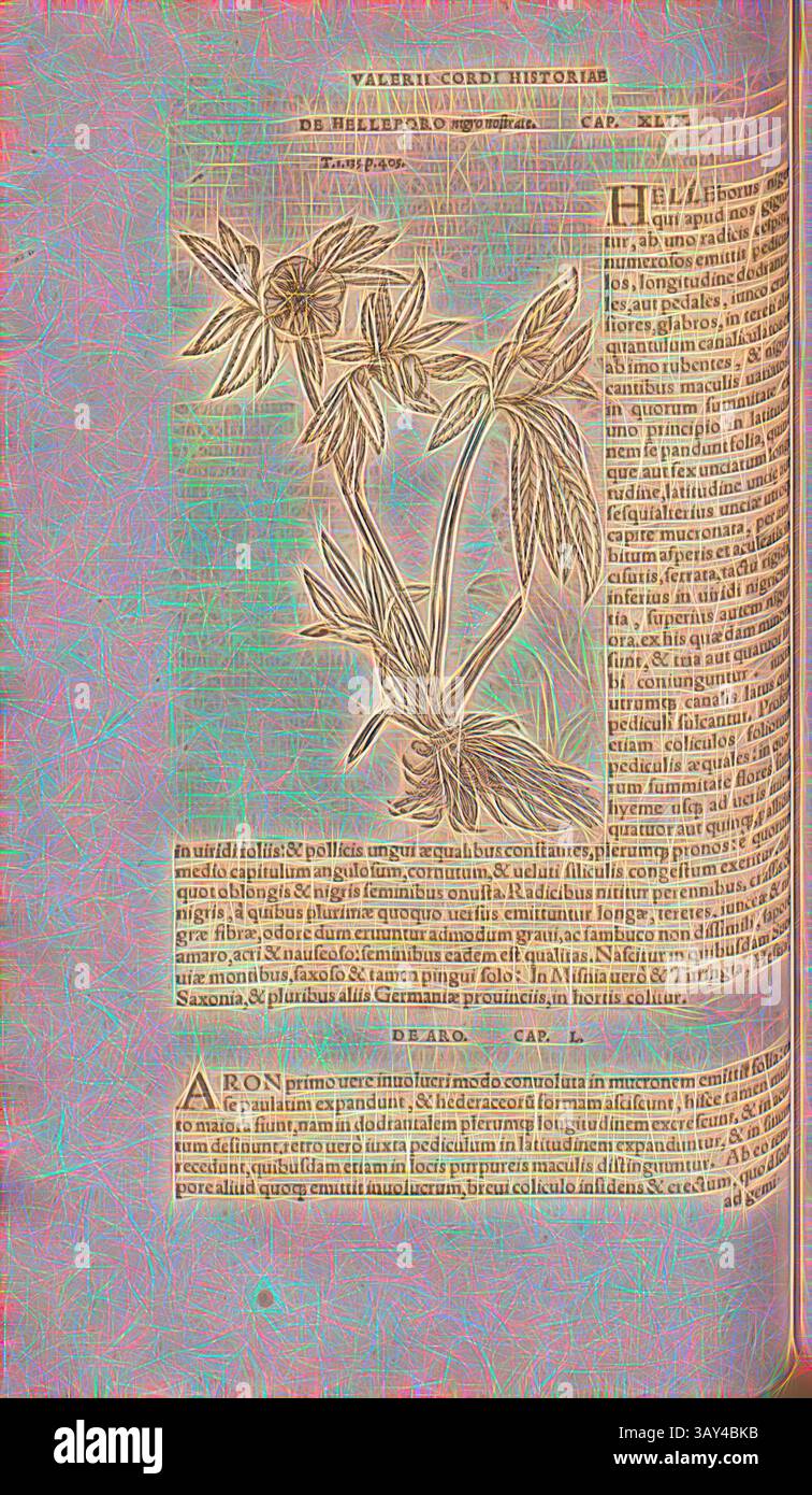Eine detaillierte botanische Illustration einer Pflanze, begleitet von einer kunstvollen Beschreibung in einem dekorativen Textlayout. Das Bild zeigt komplizierte Linien, die die Struktur der Pflanze hervorheben, mit umgebendem Text, der historischen und wissenschaftlichen Kontext liefert., Helleborus niger, Illustration einer Weihnachtsrose aus dem 16. Jahrhundert, Abb. 34, S. 102v, 1561, Valerius Cordus, Konrad Gessner, Benedictus Aretius, Pedanius Dioscorides: in hoc volumine Continentur Valerii Cordi Simesusii annotationes in Pedacii Dioscoridis Anazarbei de medica materia libros V. [...]. Argentorati: Excudebat Josias Stockfoto