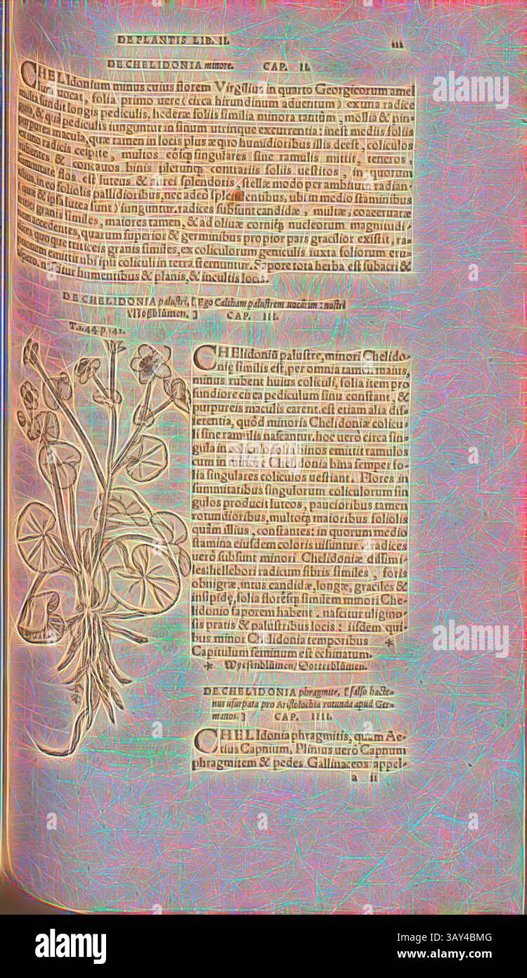 Eine komplizierte Illustration einer Pflanze, umgeben von detailliertem Text in einem alten Skript. Das Layout enthält neben der Zeichnung botanische Beschreibungen, die eine Mischung aus Kunst und Wissenschaft aus einer historischen Periode widerspiegeln. Die Komposition zeigt die Bedeutung des Naturwissens in der Literatur., Chelidonium, Illustration eines Marsh Marigold aus dem 16. Jahrhundert, Abb. 68, S. 122r, 1561, Valerius Cordus, Konrad Gessner, Benedictus Aretius, Pedanius Dioscorides: in hoc volumine continentur Valerii Cordi Simesusii annotationes in Pedacii Dioscoridis Anazarbei de medica materia libros V Stockfoto