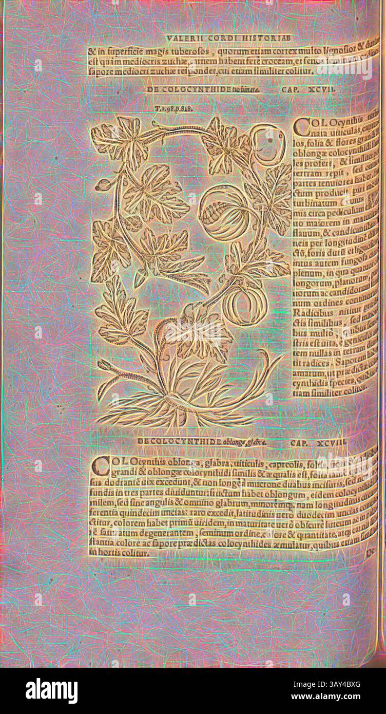 Eine kunstvolle botanische Illustration mit verschiedenen Pflanzen und Früchten, umgeben von detailliertem Text, der ihre Eigenschaften und Verwendungen beschreibt. Die komplizierten Designs und Schriften schaffen eine Vintage-Ästhetik, die die Schnittstelle von Kunst und Wissenschaft in den botanischen Studien zeigt., Colocynthis Turbinata, Illustration eines Kürbis aus dem 16. Jahrhundert, Abb. 57, S. 115v, 1561, Valerius Cordus, Konrad Gessner, Benedictus Aretius, Pedanius Dioscorides: in hoc volumine Continentur Valerii Cordi Simesusii annotationes in Pedacii Dioscoridis Anazarbei de medica materia libros V. [...]. Argentorati: Excudebat Josias Stockfoto
